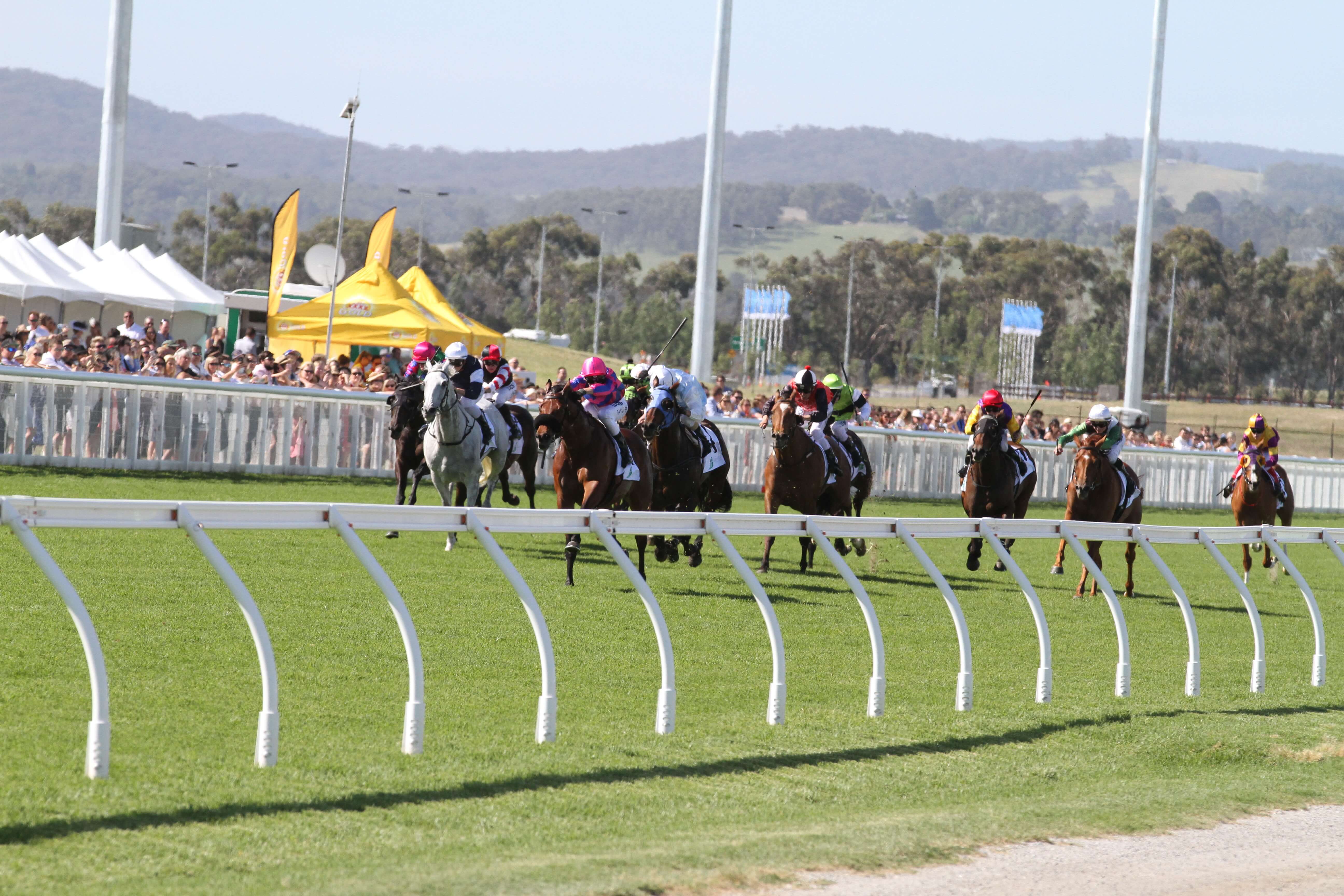 Pilote DEssaiPakenham CupListed 03 12 2016 GEN Pakenham 7  1223