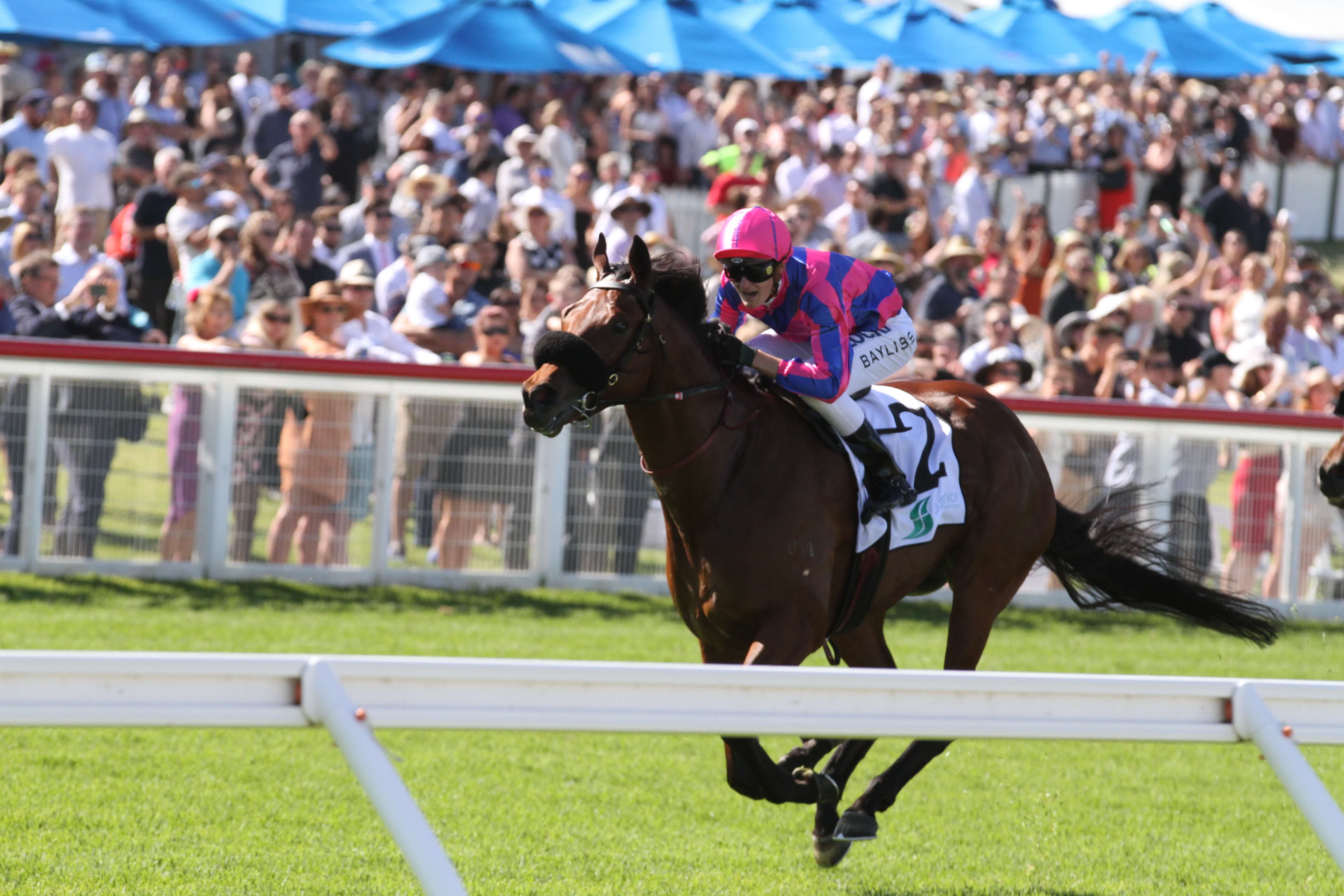 Pakenham Cup